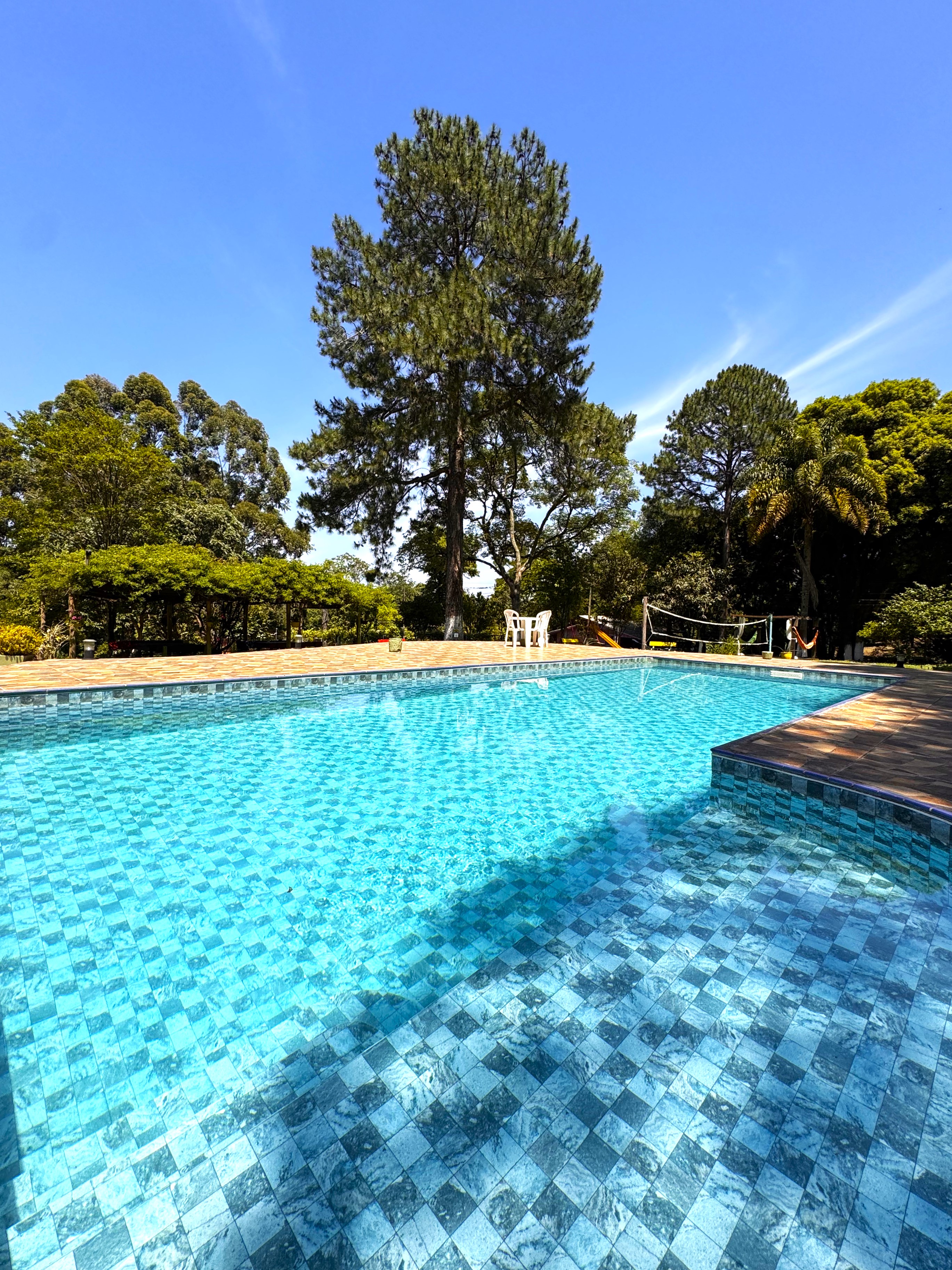 Piscina compartilhada cercada de verde